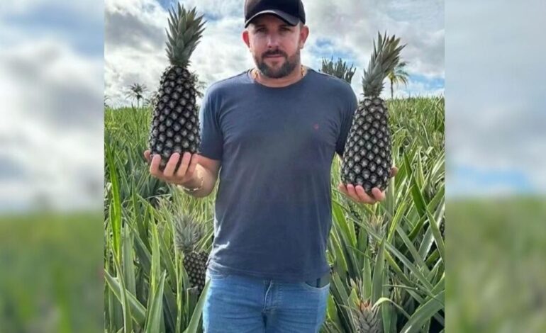 pc:-produtor-de-abacaxi-teve-morte-encomendada-por-fazendeiro-rival-|-g1