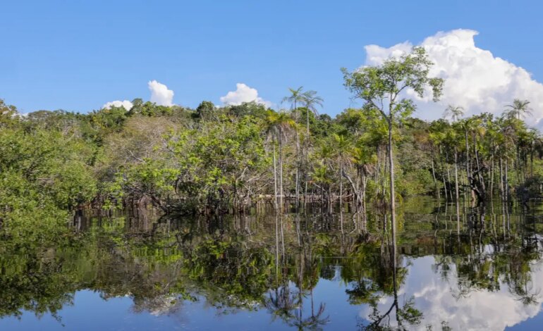 governo-levantou-r$-179-bi-desde-2023-para-transicao-ecologica