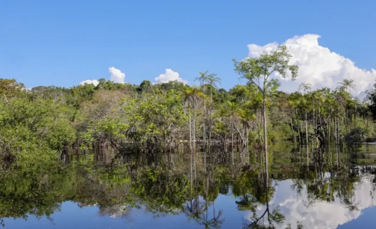 Fundo Clima gasta até 3 vezes para reduzir emissões que fundos internacionais – ClimaInfo
