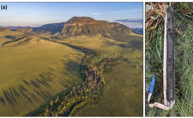 areas-umidas-do-cerrado-podem-armazenar-mais-carbono-que-amazonia-–-climainfo