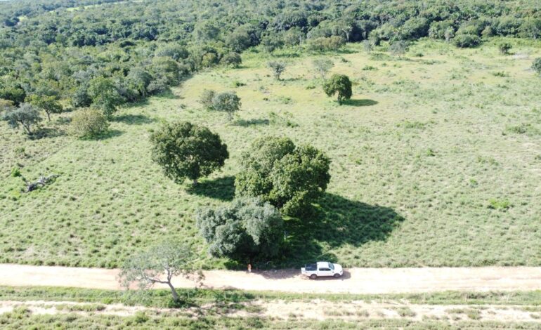 mecanico-desaparecido-e-avistado-por-drone;-buscas-continuam-|-g1