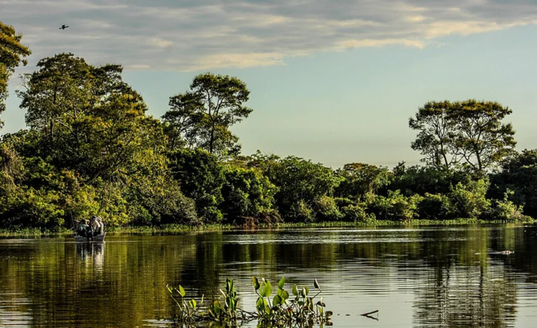 cop15:-governo-amplia-areas-protegidas-no-pantanal-e-fortalece-protecao-do-bioma-–-climainfo