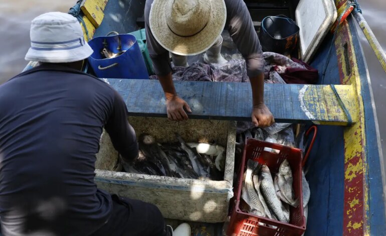 pescadores-beneficiados-pelo-seguro-defeso-recebem-6o-lote-nesta-terca