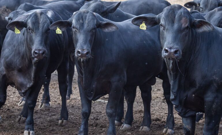 cmn-reduz-juros-de-financiamentos-a-cooperativas-rurais-pelo-pronaf