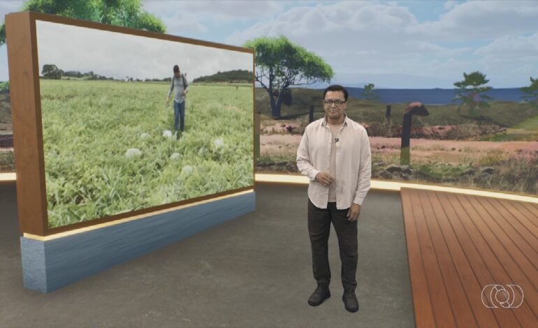 videos:-jornal-do-campo-–-to-deste-domingo,-29-de-marco-de-2026
