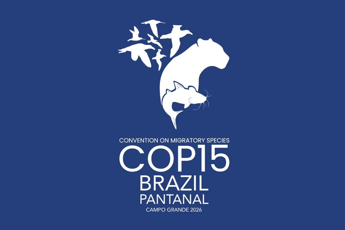 COP15: 40 novas espécies migratórias receberão proteção internacional – ClimaInfo