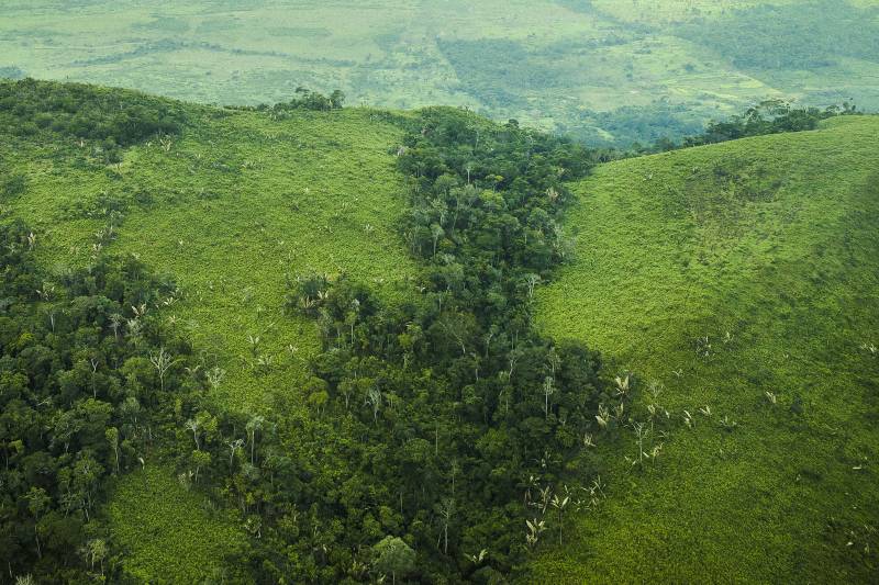 Desmatamento na Amazônia tem menor índice para fevereiro em 8 anos – ClimaInfo