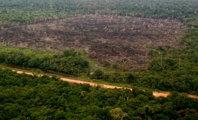 governo-acelera-obras-na-br-319-antes-de-resolver-entraves-ambientais-–-climainfo