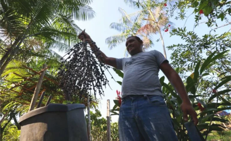 governo-lanca-plano-de-bioeconomia-para-fortalecer-a-industria-verde-–-climainfo