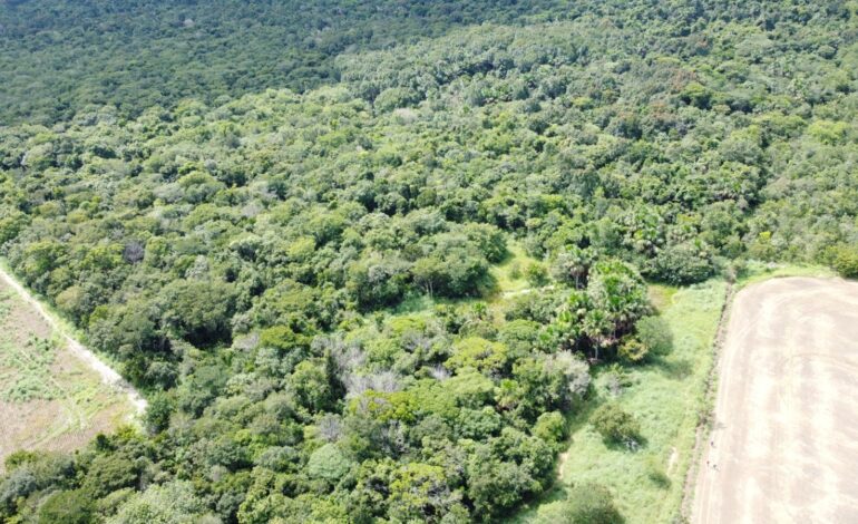 veja-como-e-a-area-onde-mecanico-agricola-ficou-20-dias-desaparecido-|-g1