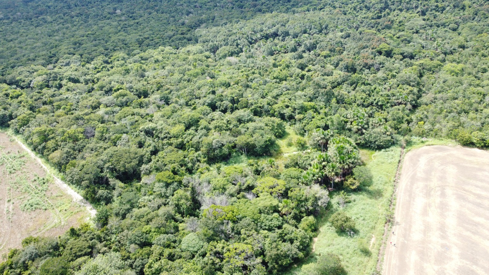 Veja como é a área onde mecânico agrícola ficou 20 dias desaparecido | G1