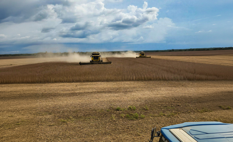 clima,-custos-e-mercado-desafiam-a-producao-agricola-no-tocantins-|-g1