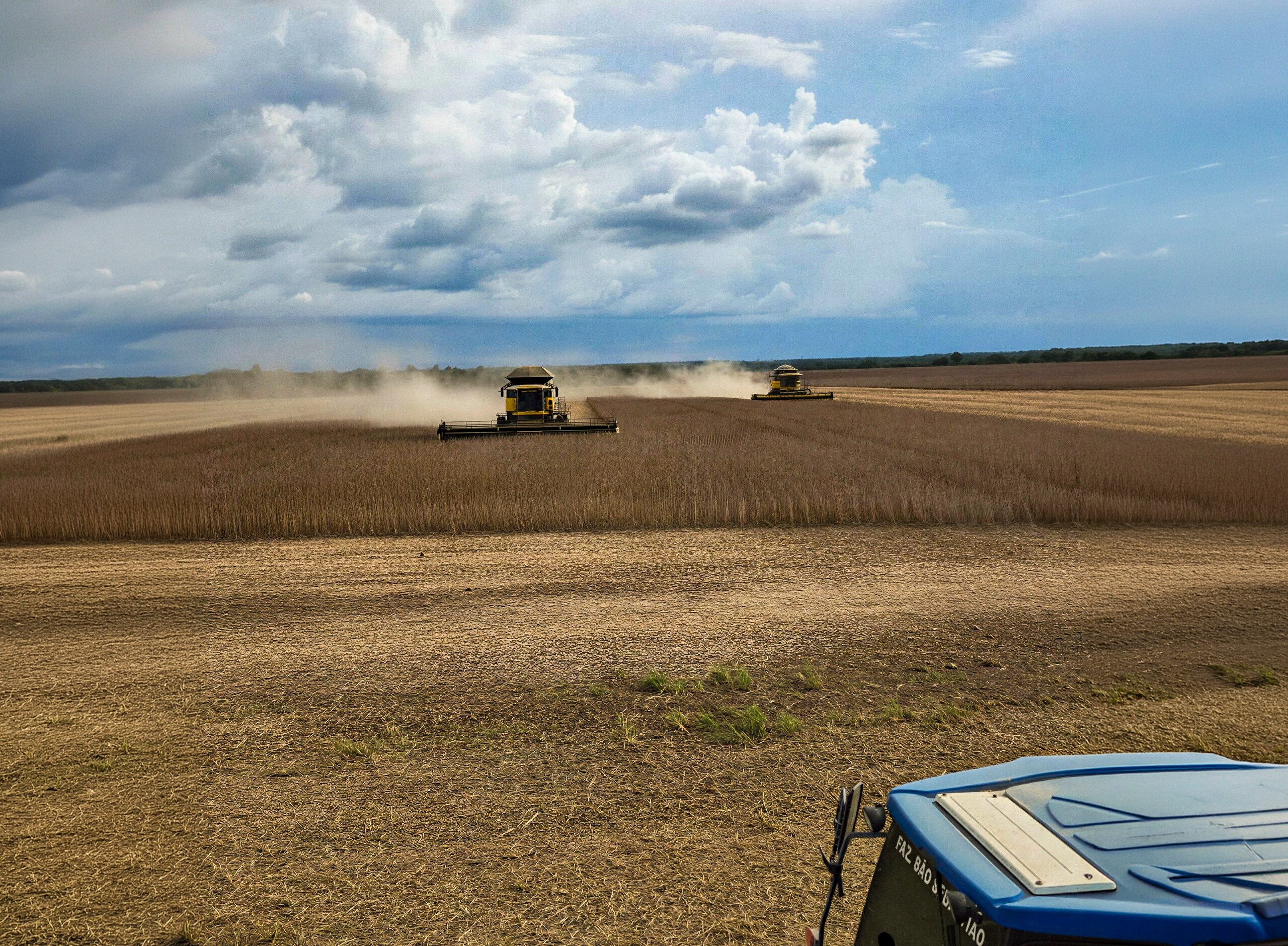 Clima, custos e mercado desafiam a produção agrícola no Tocantins | G1