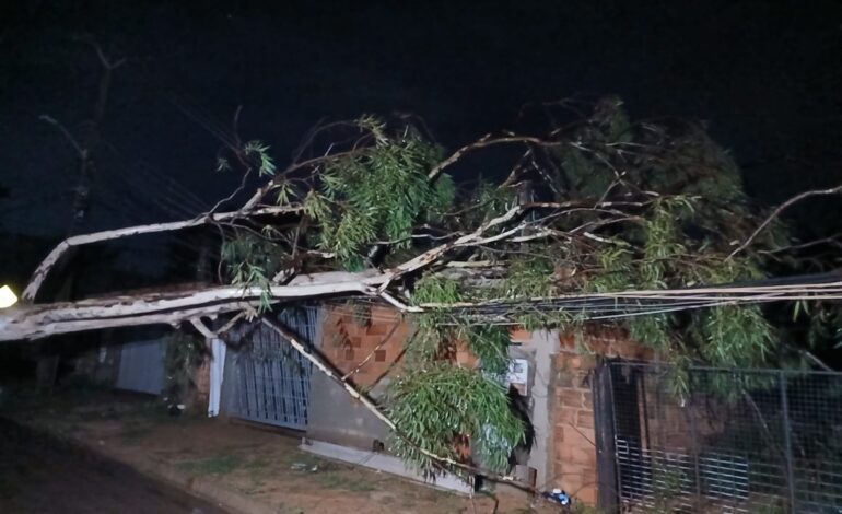 Chuva forte durante a madrugada causas estragos em Palmas | G1
