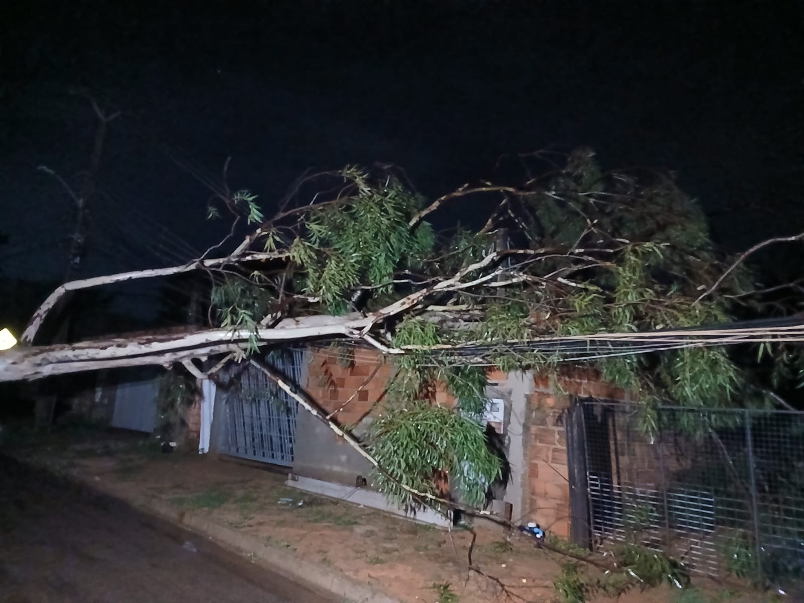 Chuva forte durante a madrugada causas estragos em Palmas | G1