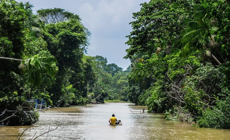 mpf-recomenda-suspensao-imediata-de-venda-de-creditos-de-carbono-no-para-–-climainfo