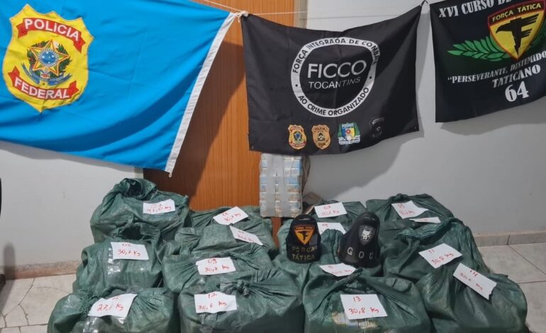 Apreensão de cocaína em carga de abacaxi: motorista é preso no TO | G1