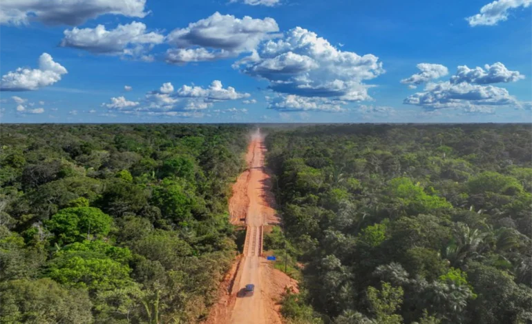 Asfaltamento da BR-319 aumenta risco de novas pandemias, alertam cientistas – ClimaInfo