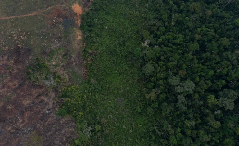 Diesel “verde” feito nos EUA tem elo com empresa condenada por desmate – ClimaInfo