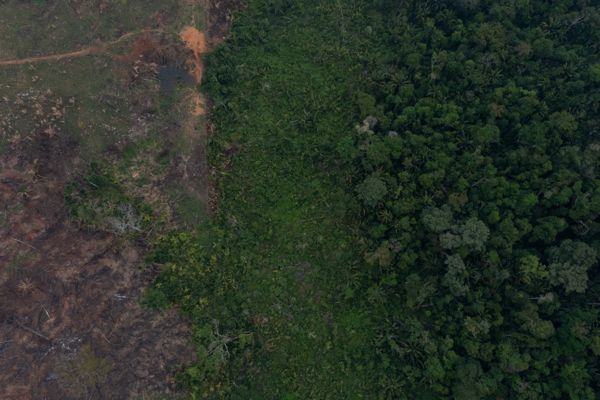 diesel-“verde”-feito-nos-eua-tem-elo-com-empresa-condenada-por-desmate-–-climainfo