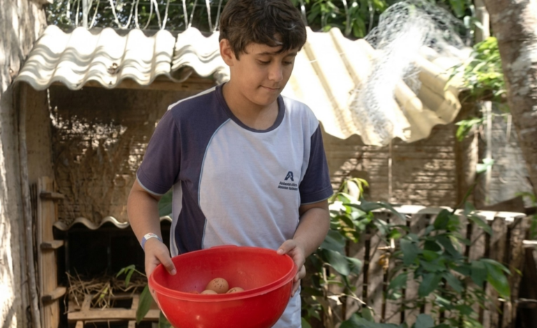 menino-de-11-anos-que-montou-granja-no-to-inspirou-colegas-|-g1