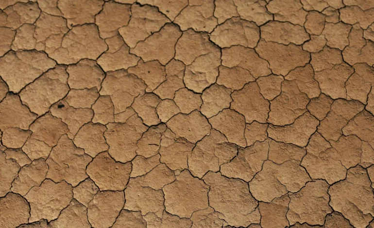 seca-pode-liberar-carbono-do-solo-e-agravar-mudancas-climaticas-–-climainfo