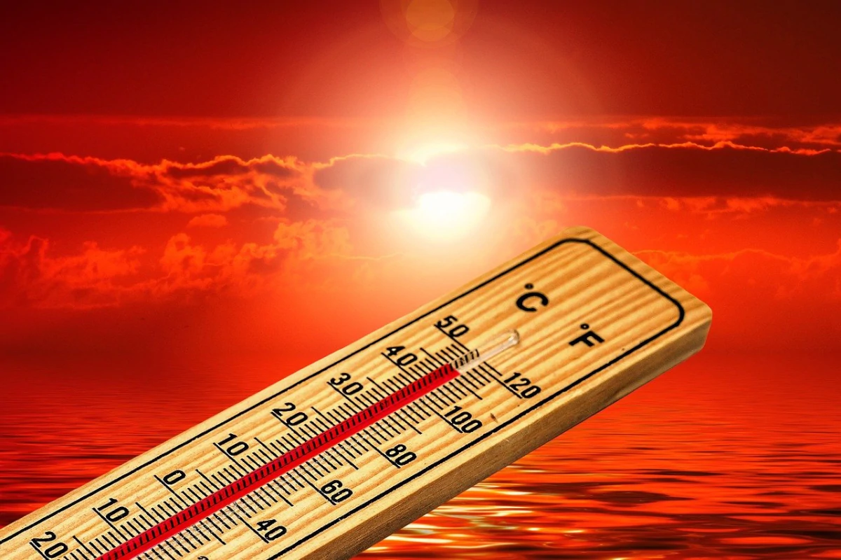 calor-extremo-esta-levando-sistemas-alimentares-ao-colapso,-alerta-fao-–-climainfo