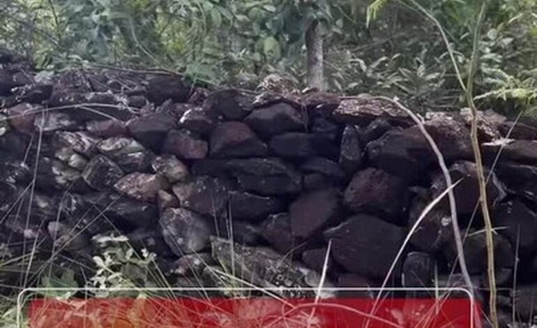 conheca-muro-de-pedras historico-construido-por-escravizados-no-to-|-g1