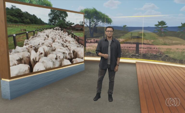 videos:-jornal-do-campo-–-to-deste-domingo,-26-de-abril-de-2026