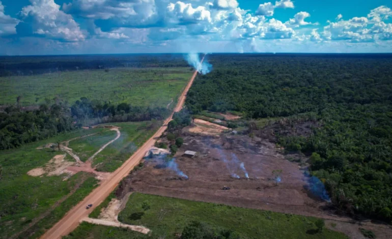 observatorio-do-clima-entra-na-justica-contra-pavimentacao-da-br-319-–-climainfo