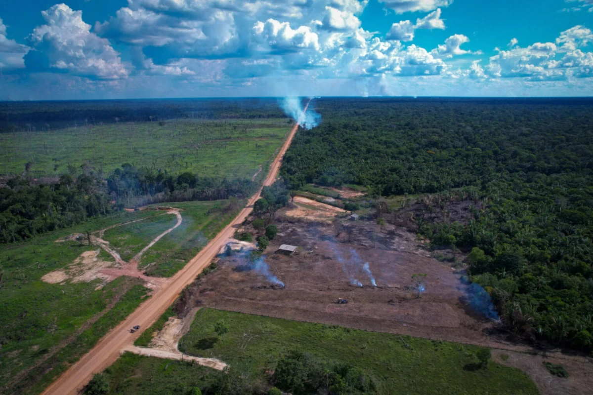 observatorio-do-clima-entra-na-justica-contra-pavimentacao-da-br-319-–-climainfo