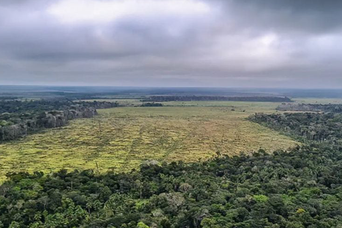 Desmatamento na Amazônia cai no 1º trimestre, mas aumenta em março – ClimaInfo