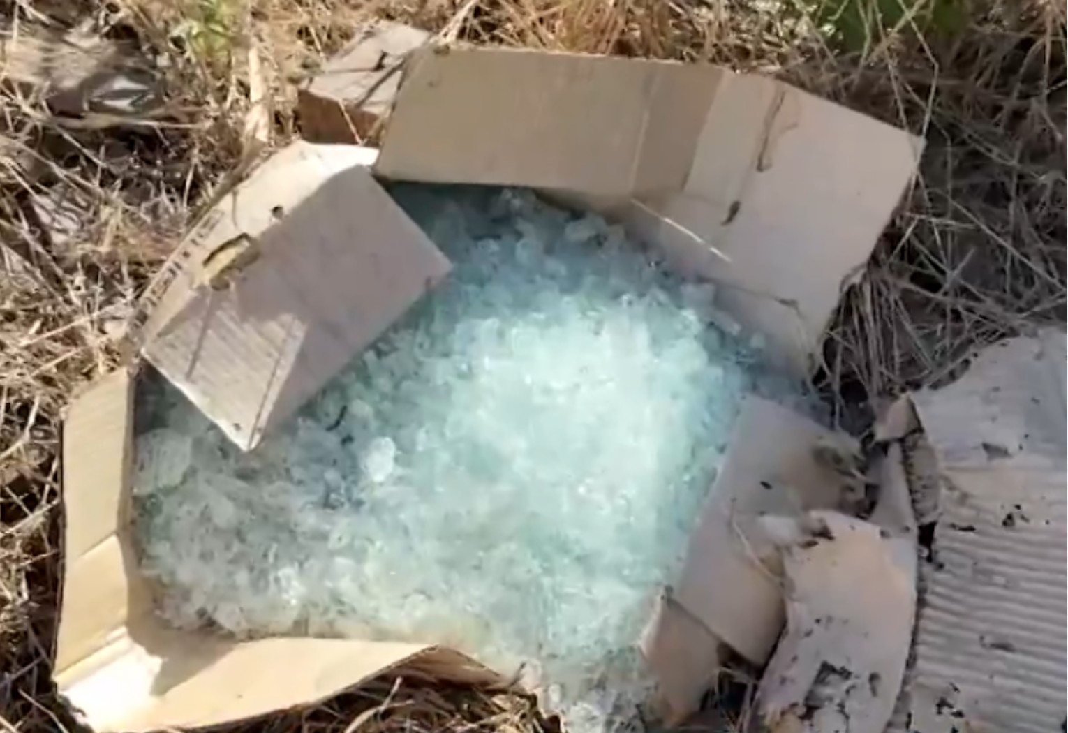 linhas-sao-recolhidas-pela-policia-no-local-onde-jovem-morreu-|-g1