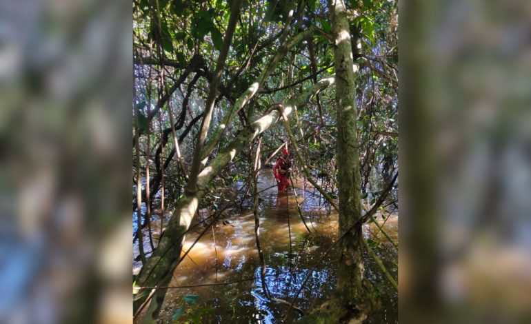 Bombeiros fazem buscas por homem desaparecido em Aragominas | G1