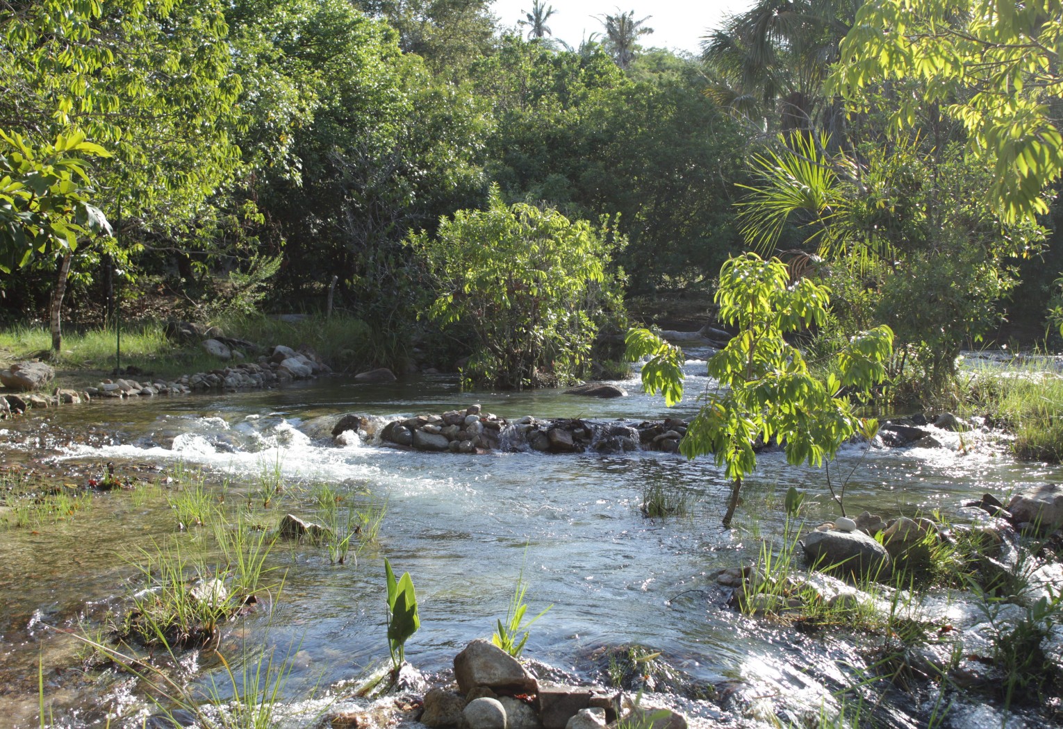 aguas-cristalinas-e-tranquilidade:-conheca-o