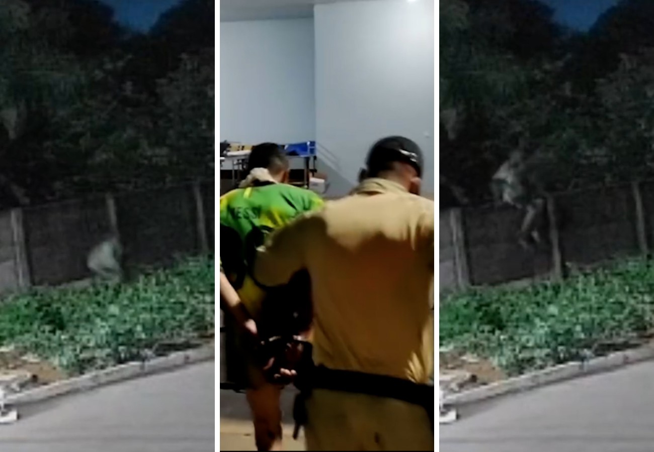 suspeito-de-matar-pitbull-em-invasao-se-escondeu-em-cemiterio-no-to-|-g1