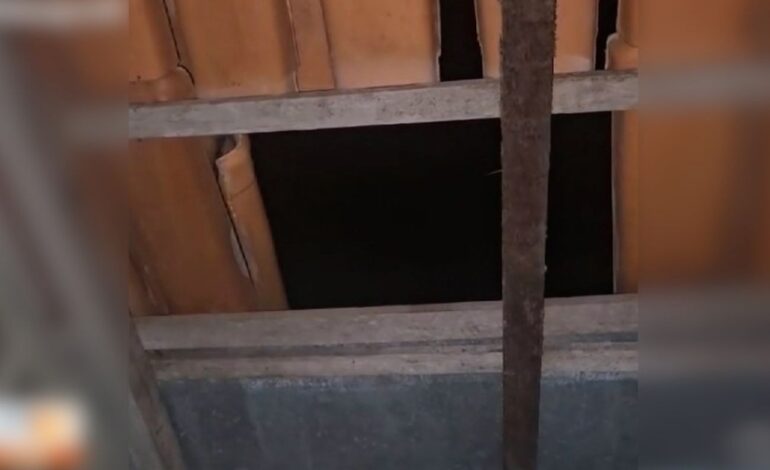 homem-escala-telhado,-invade-casa-da-ex-e-espanca-a-vitima,-diz-pm-|-g1