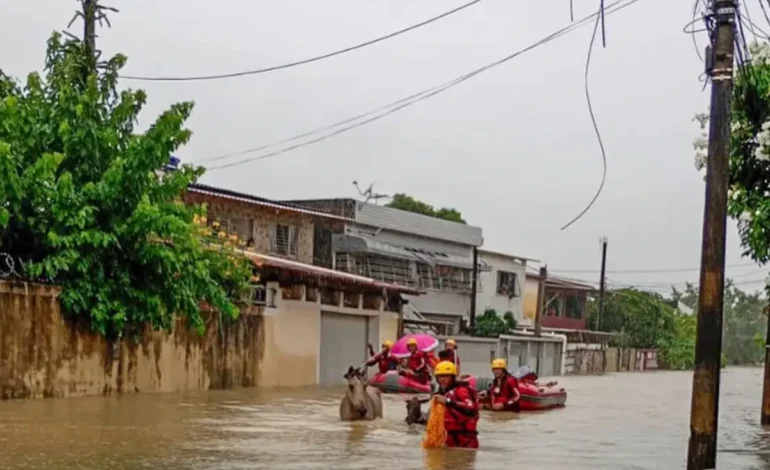 chuvas-deixam-mortos-e-desaparecidos-em-pernambuco,-paraiba-e-rio-grande-do-sul-–-climainfo