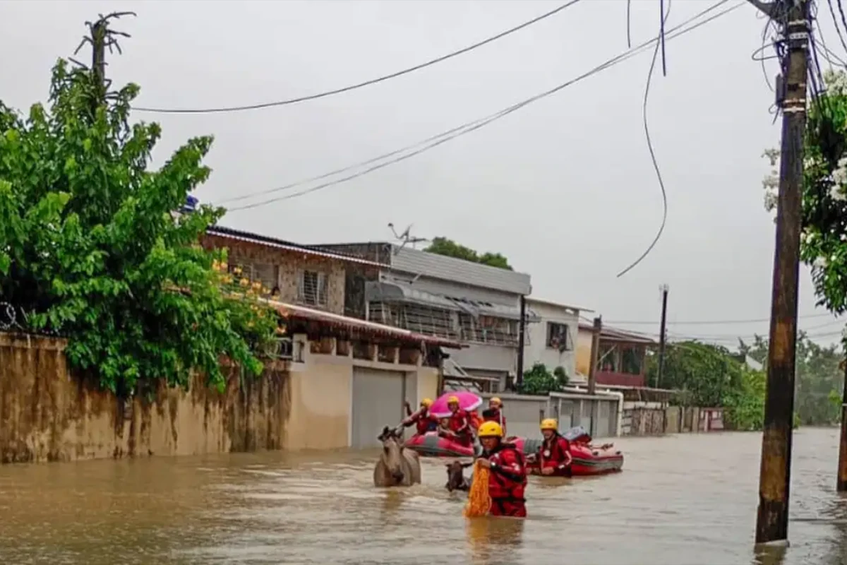 chuvas-deixam-mortos-e-desaparecidos-em-pernambuco,-paraiba-e-rio-grande-do-sul-–-climainfo