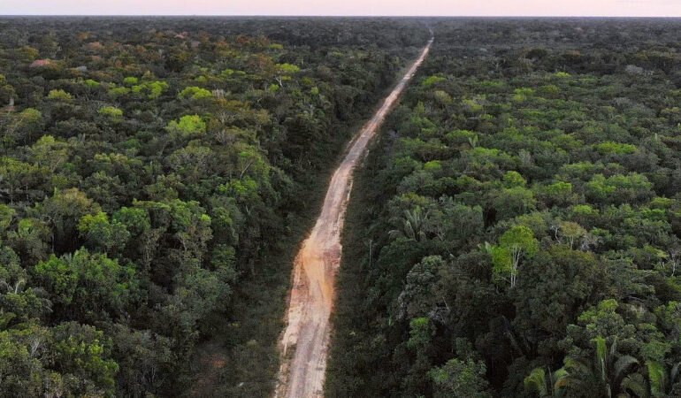 dnit-reabre-contratacao-de-empresas-para-o-asfaltamento-da-br-319-–-climainfo
