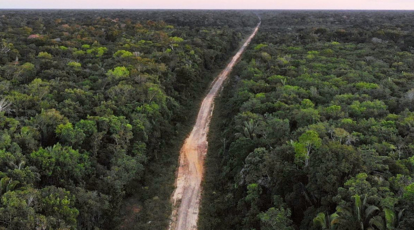 dnit-reabre-contratacao-de-empresas-para-o-asfaltamento-da-br-319-–-climainfo