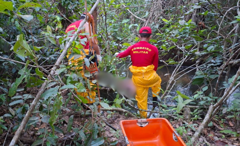 pescadores-encontram-corpo-em-decomposicao-preso-a-galhos-em-rio-no-to-|-g1