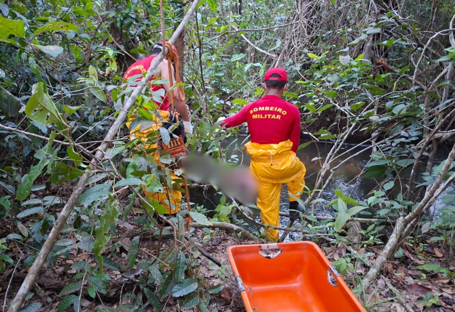 Pescadores encontram corpo em decomposição preso a galhos em rio no TO | G1