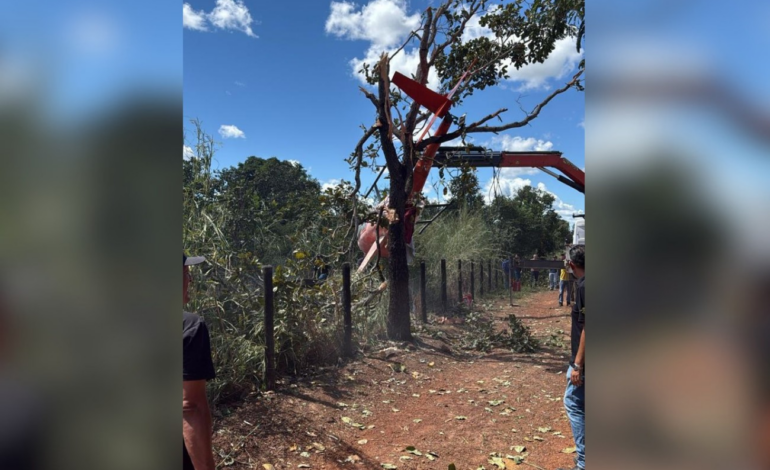 Veja modelo e quanto vale o helicóptero do sertanejo Juliano que caiu | G1