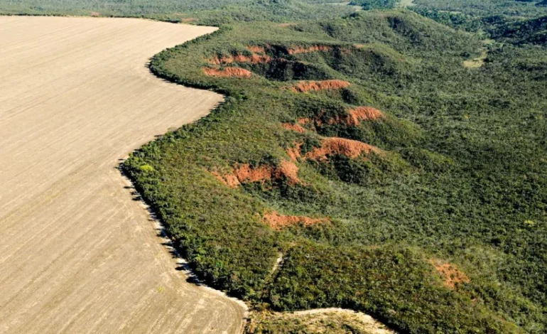 Amazônia e Cerrado registram queda no desmatamento em abril, indica INPE – ClimaInfo