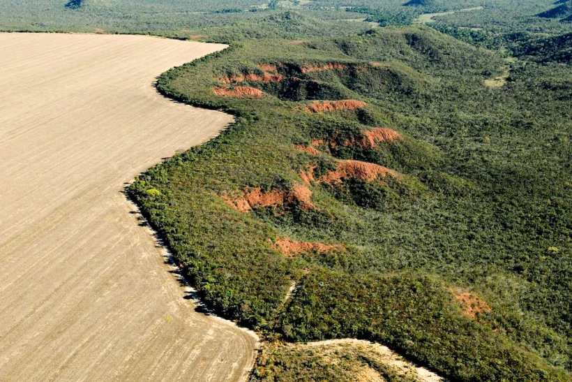 amazonia-e-cerrado-registram-queda-no-desmatamento-em-abril,-indica-inpe-–-climainfo