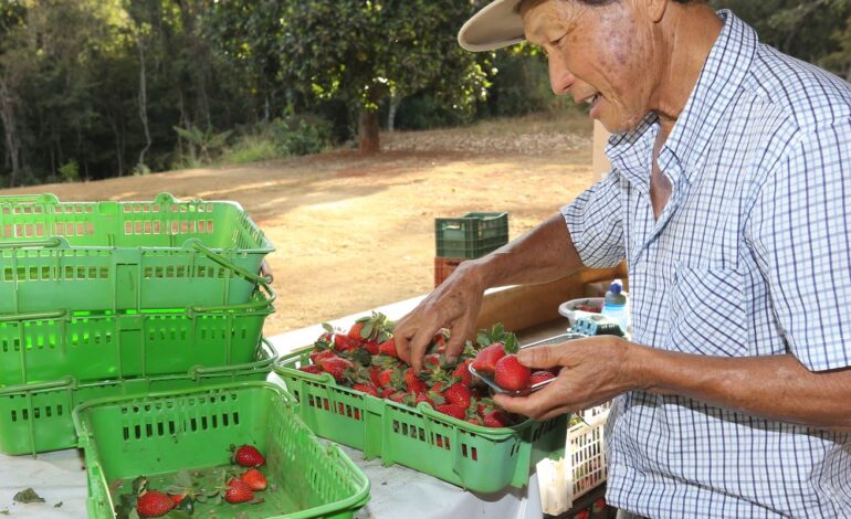 finep-vai-pagar-r$-220-milhoes-para-inovacoes-em-agricultura-familiar 