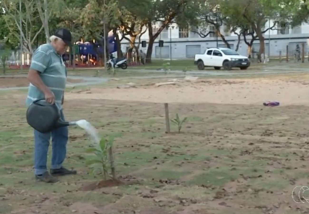 idoso-transforma-praca-em-palmas-com-arvores-frutiferas-|-g1