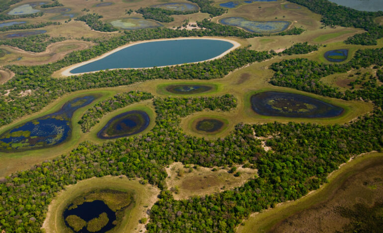 pantanal-perdeu-80%-de-sua-agua-superficial-nos-ultimos-40-anos-–-climainfo