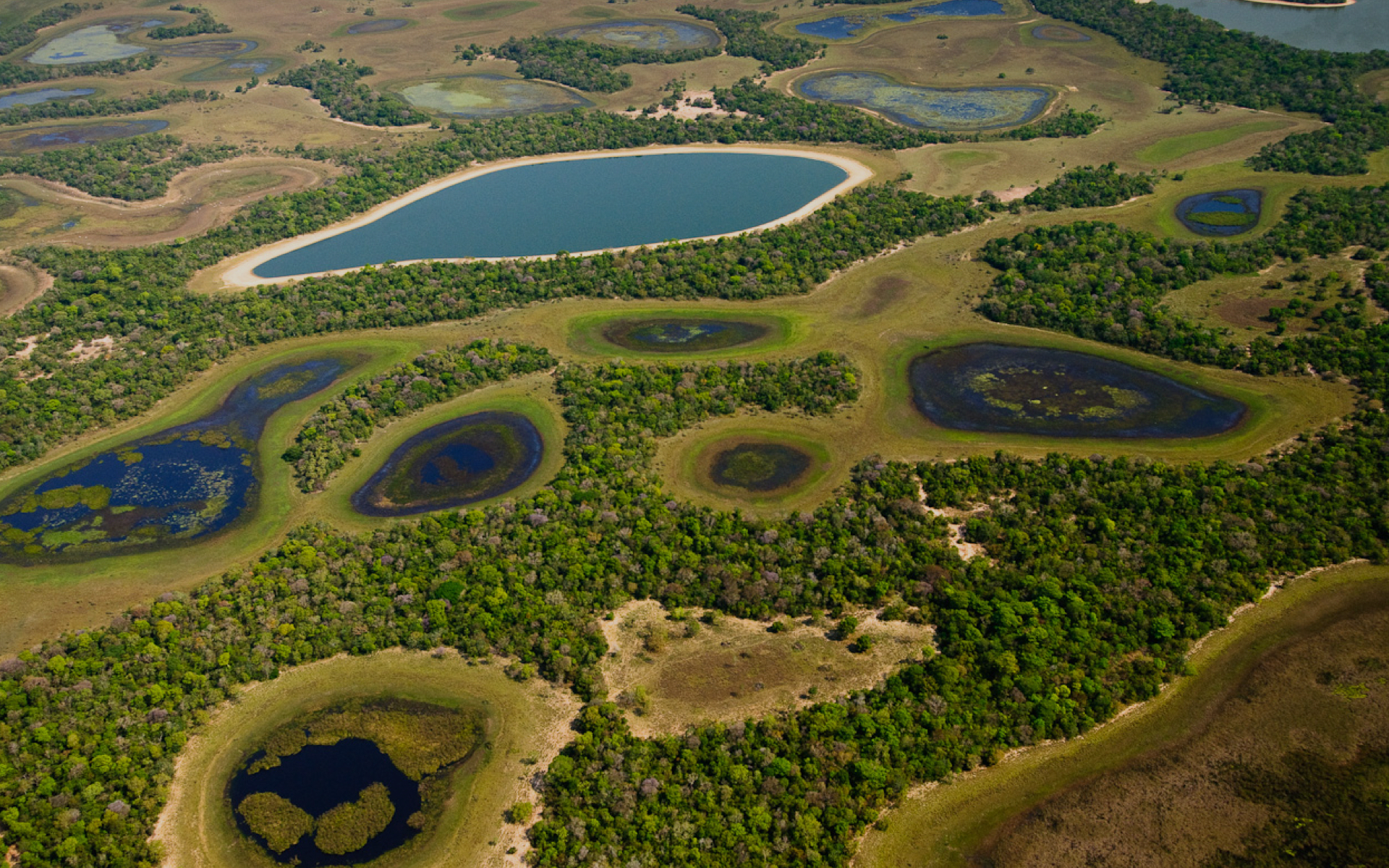 pantanal-perdeu-80%-de-sua-agua-superficial-nos-ultimos-40-anos-–-climainfo